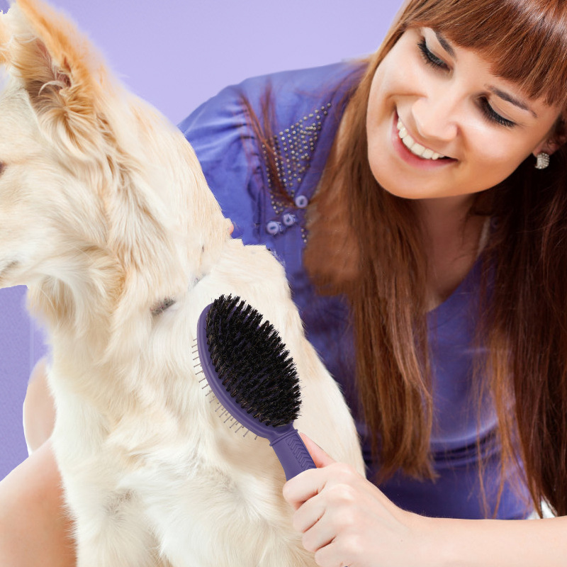 Pet Products Pet Double Face Comb Dog Cat Beauty Air Bag Massage Needle Comb Pet Pig Hair Removal Brush — image 3