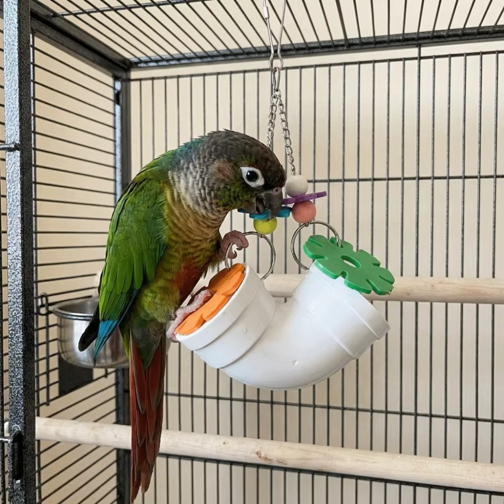 Creative Colorful Hamster Foraging Pipeline Plastic Bite Resistant Pet Bird Toys Hidden Snack Games Parrot Hanging Toys Training — image 3