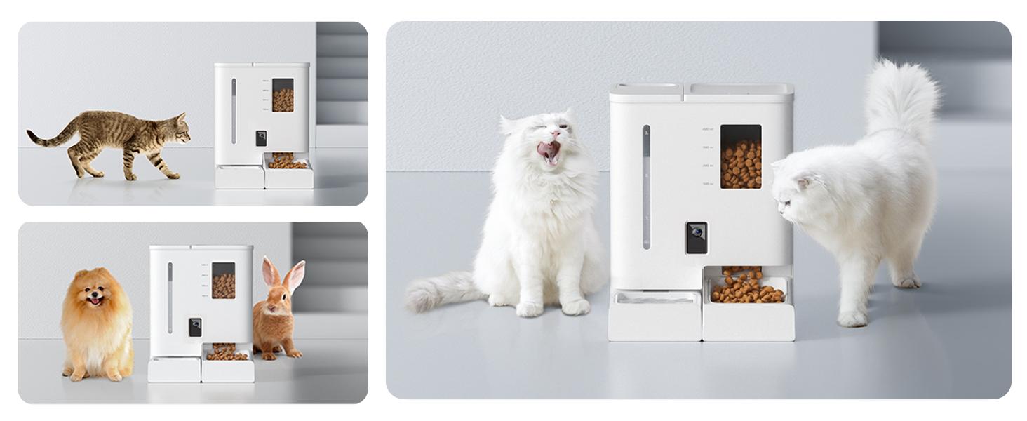 Waithem Alimentador y Bebedor Automático WiFi para Mascotas 2 en 1, Controlado por App, Capacidad de 2 Semanas, Desmontable y Limpiable, Resistente a Humedad — imagen 15