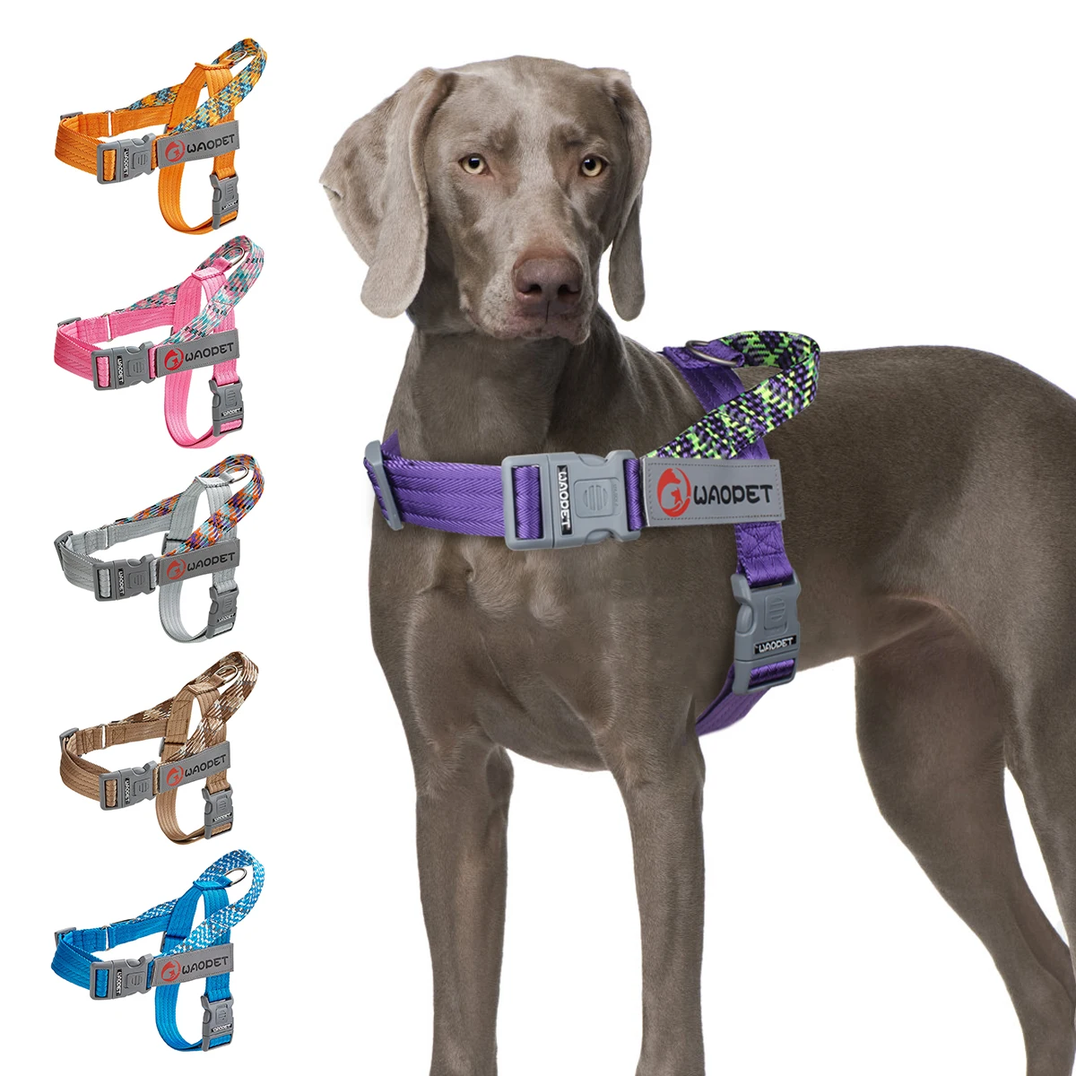 Collar de Arnes para Perros Pequeños, Medianos y Grandes - Resistente, No Tirar, Reflejos, Diseño de Moda — imagen 1