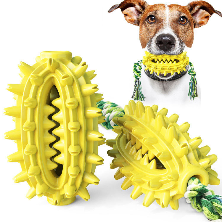 New dog toy with rope cactus ball molar stick toothbrush dog chew pet supplies — image 5