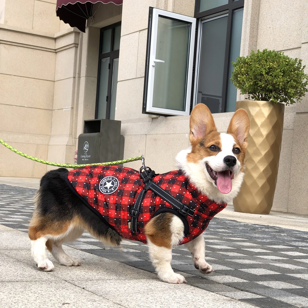 Autumn And Winter Pet Clothes Red Christmas Dog Cotton Clothes Reflective Warmth Small And Medium-Sized Dog Coat Clothing — image 3