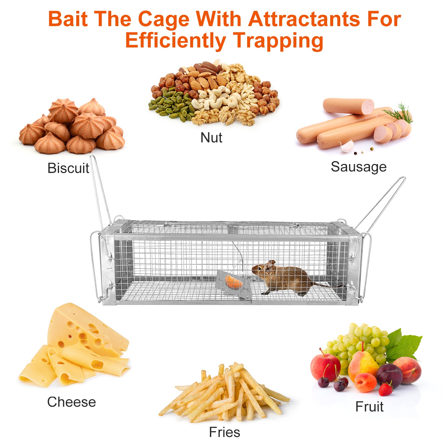 Cage de Rat con Dos Puertas Humano, Trampa para Roedores con Malla Densa y Electroplating de Zinc — imagen 5
