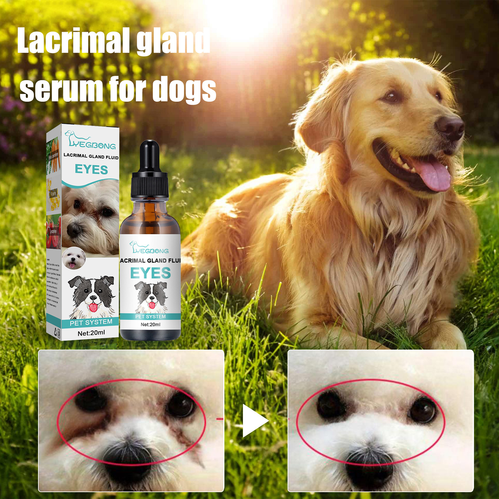 Sero para Secado de Lágrimas en Perros y Gatos - Solución Tópica para Ojos Brillantes — imagen 2
