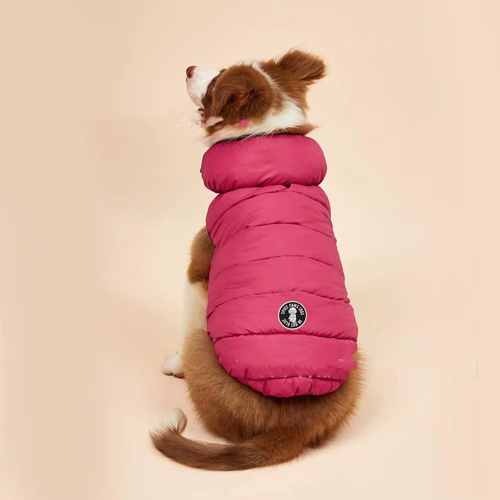 Ropa Nueva para Perros, Otoño e Invierno — imagen 3