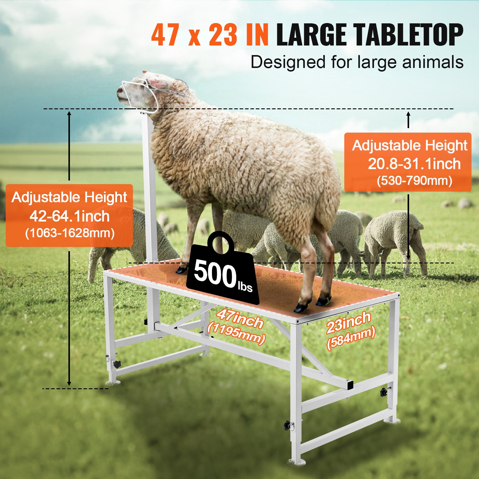 Goat & Sheep Stand, 47x23 Inch Livestock Stand, Metal Livestock Milking And Shearing Stand 21" To 33" Adjustable Height, With Headpiece And Nose Loop, 500lbs Loading Weight, White — image 5