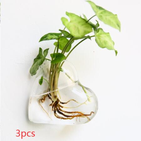 Vaso de Vidrio para Terrario Decorativo en Línea - Jardín Acuático para Hogar — imagen 25