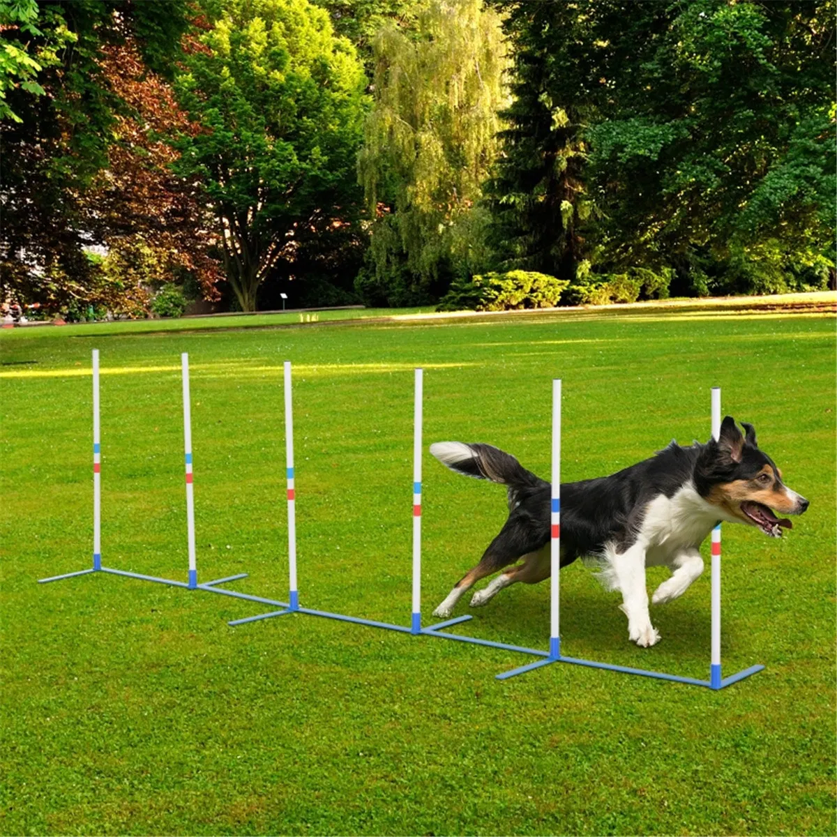 Dog Outdoor Exercise Training Set — image 1