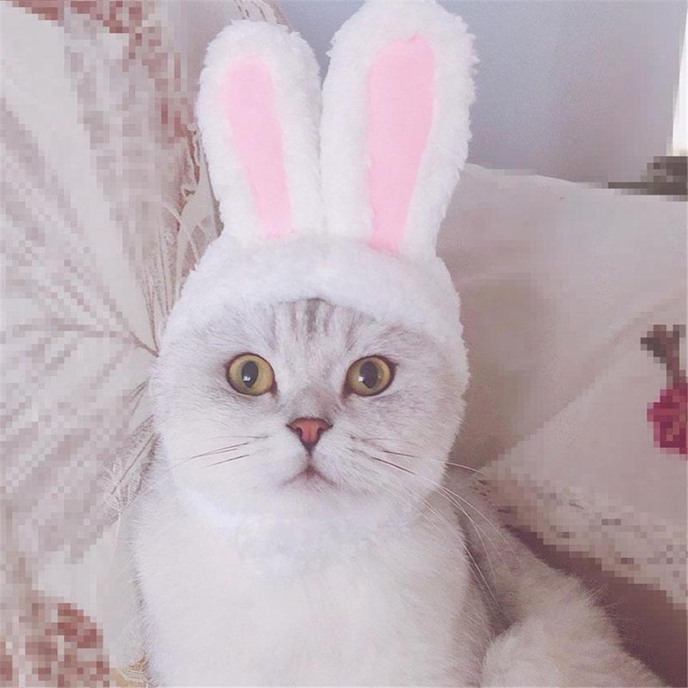 Capa de Pascua Divertida y Adorable: Sombrero Conejo con Orejas para Gatos y Perros Pequeños, Accesorio de Disfraz para Mascotas, Foto de Cumpleaños — imagen 2