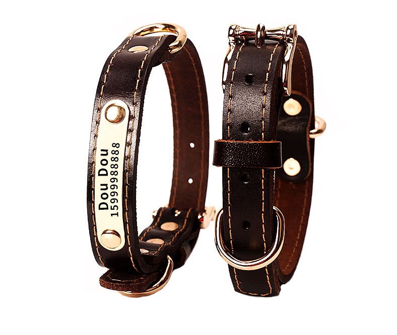 Collar de Perro con Grabado Anti-Pérdida en Cuerino Dorado para Labradores de Pelo Rubio Pequeño, Mediano y Grande — imagen 5