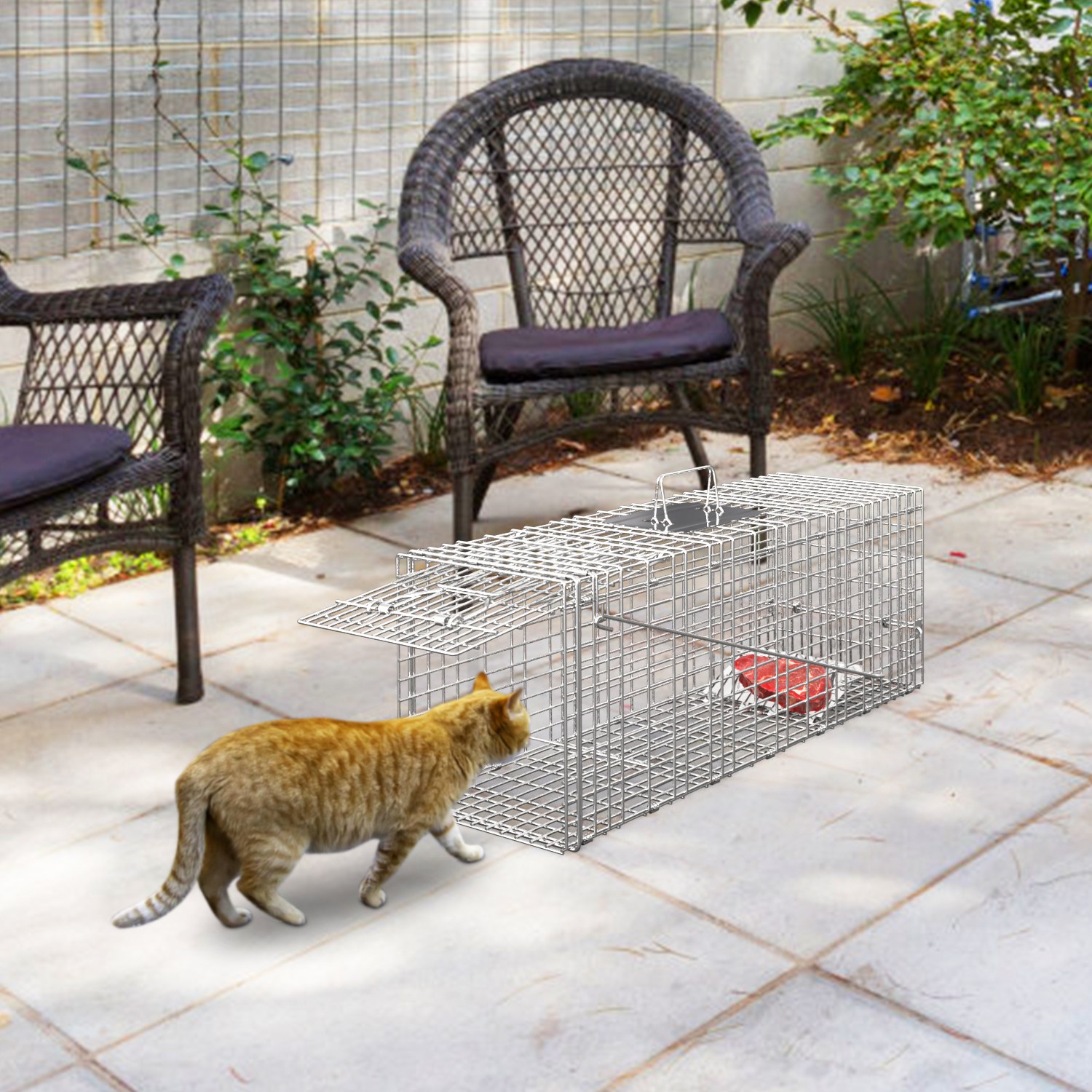 Humane Cat Trap Cage Catch Release Live Animal Rodent Cage Collapsible Galvanized Wire For Raccoons Beavers Groundhogs Foxes Armadillos Fedex Shipping — imagen 8