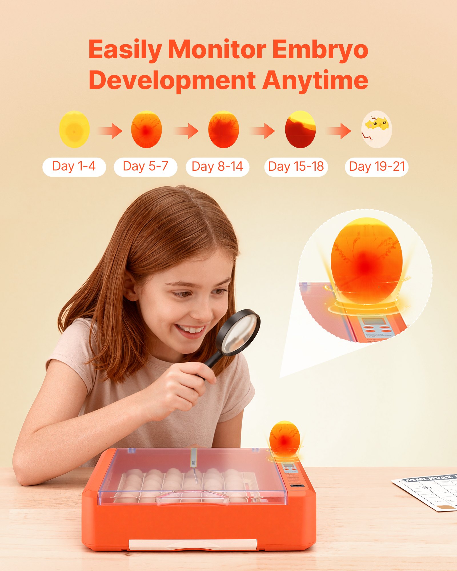 36 Egg Incubator, Automatic Egg Turner With LED Candler & Water Tray, Temperature & Humidity Control, 360° View Clear Window, Poultry Eggs Incubators For Hatching Chicks Ducks Goose Quails — imagen 4