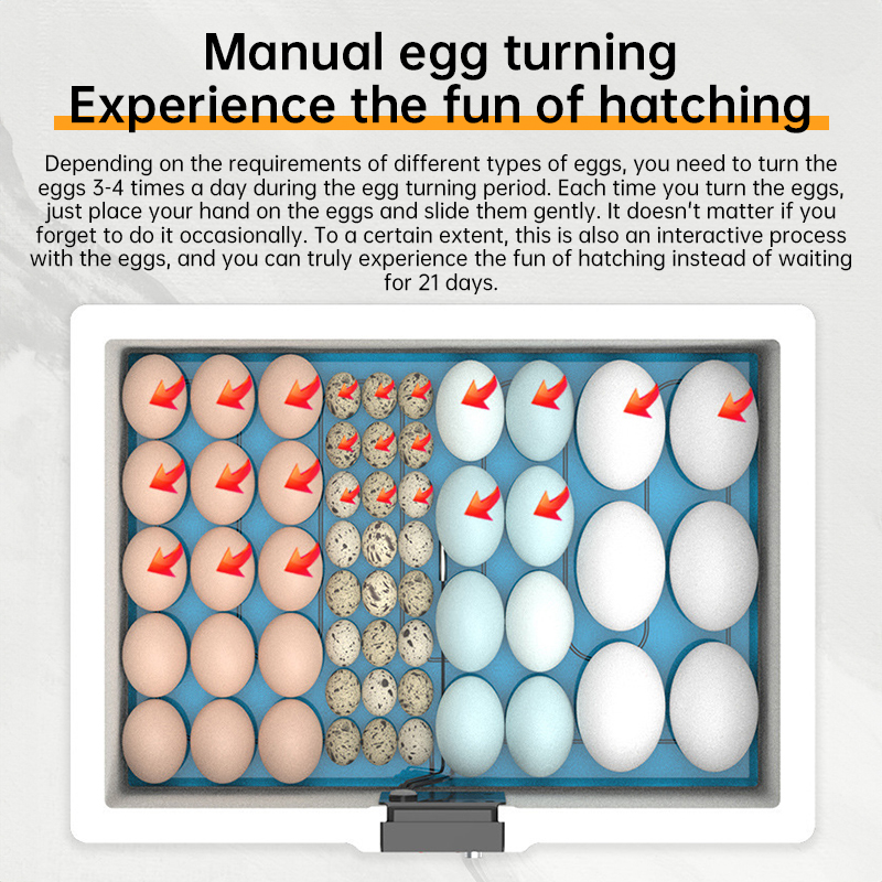 24 - hr Thermostatic Small Poultry Incubator. Biomimetic Waterbed. Auto & Smart. For Chick, Duck & Goose Eggs — image 7