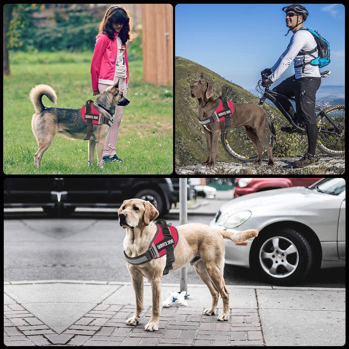 Pet Dog New Reflective Comfortable Pet Chest Strap Traction Rope Leash Undershirt Pet Chest Strap — image 3