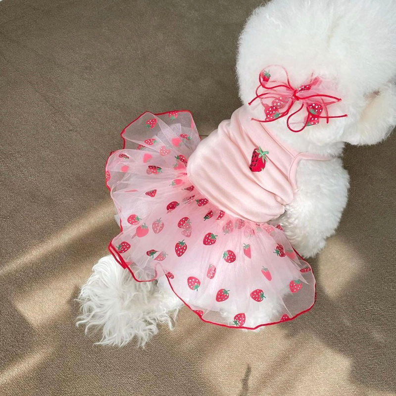 Cat Clothes Pet Yarn Skirt Teddy Pomeranian Bears VIP Yorkshire Schnauzer Small Dog Sheer — image 2