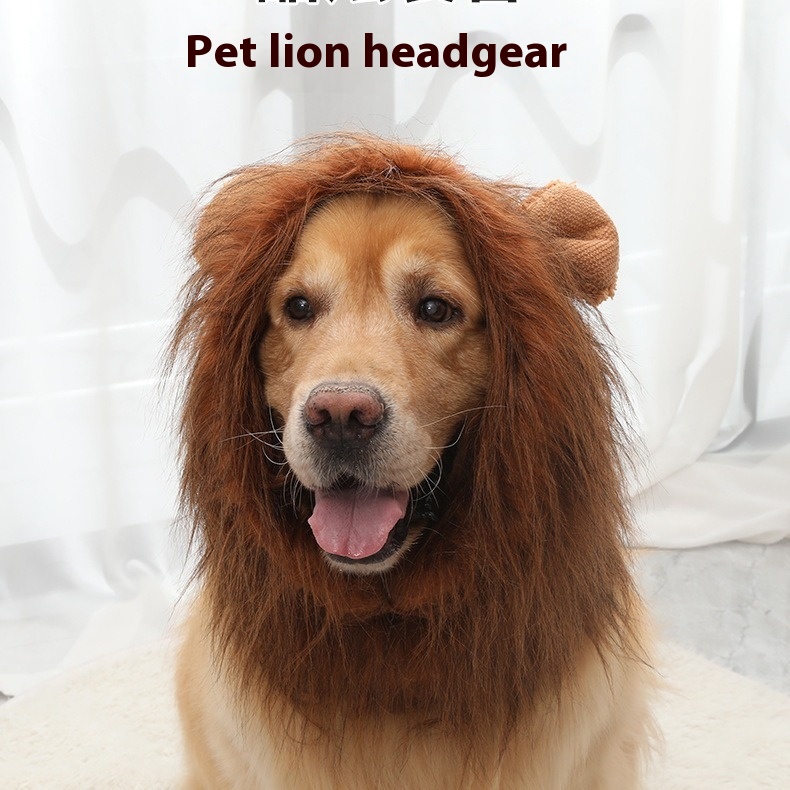 Ropa para Mascotas - Sombrero de León para Perros — imagen 10