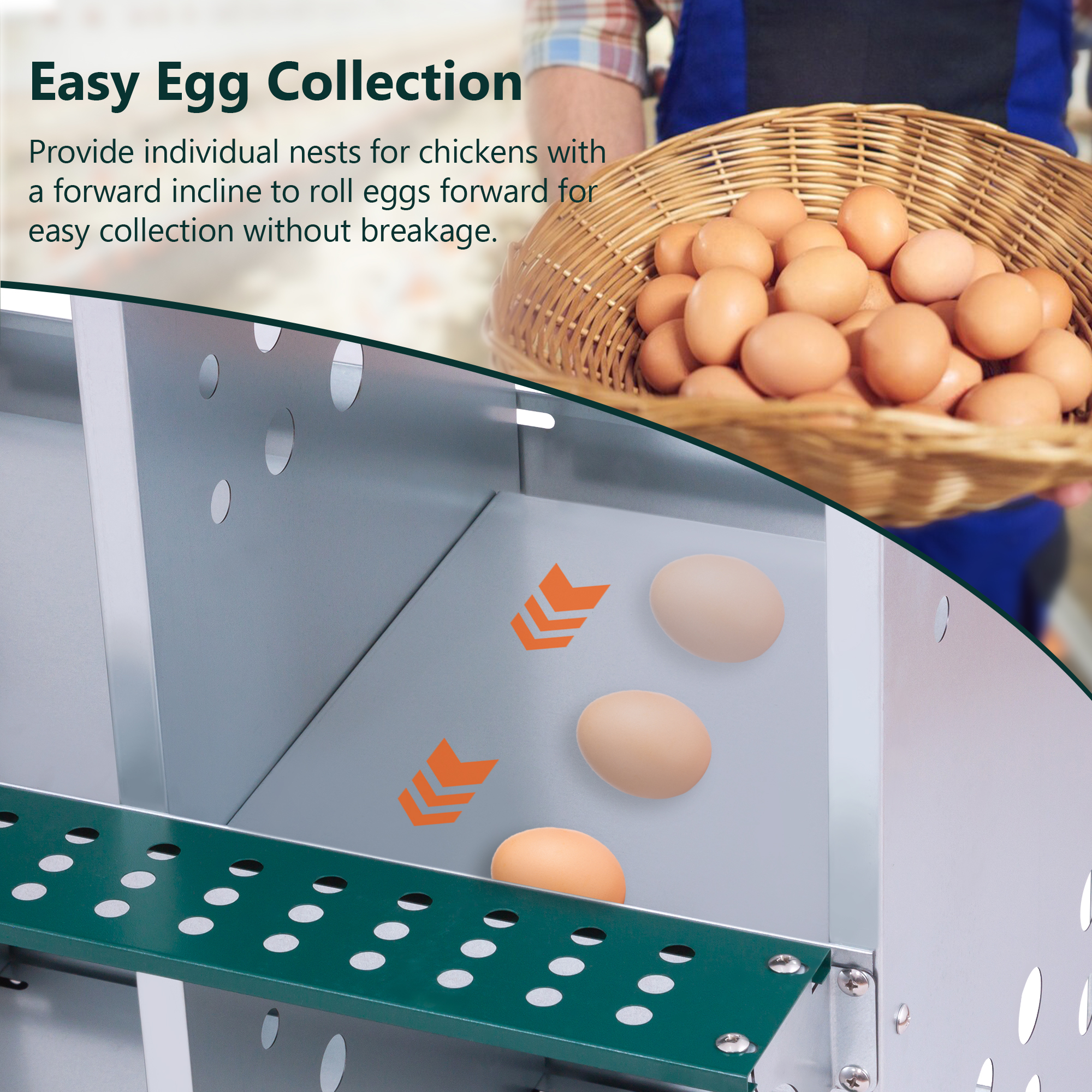 Nidal Metálico de 10 Compartimentos para Montaje en Pared, para Gallinas y Patos, Fácil Recolección de Huevos, Equipo de Gallinero de Acero Galvanizado Ventilado, Verde — imagen 5