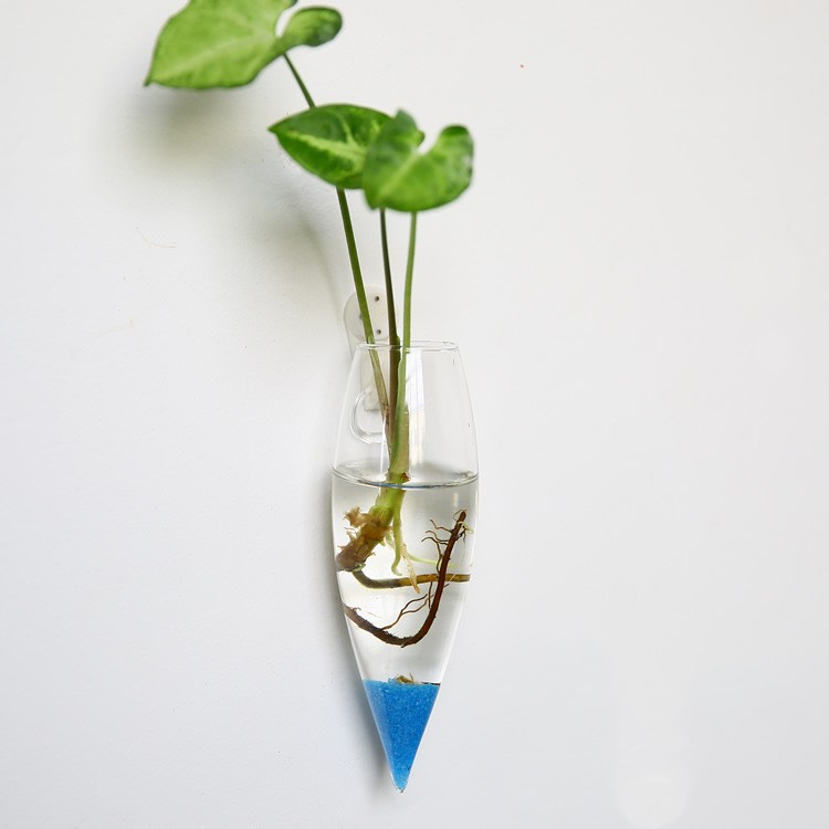 Vaso de Vidrio para Terrario Decorativo en Línea - Jardín Acuático para Hogar — imagen 40