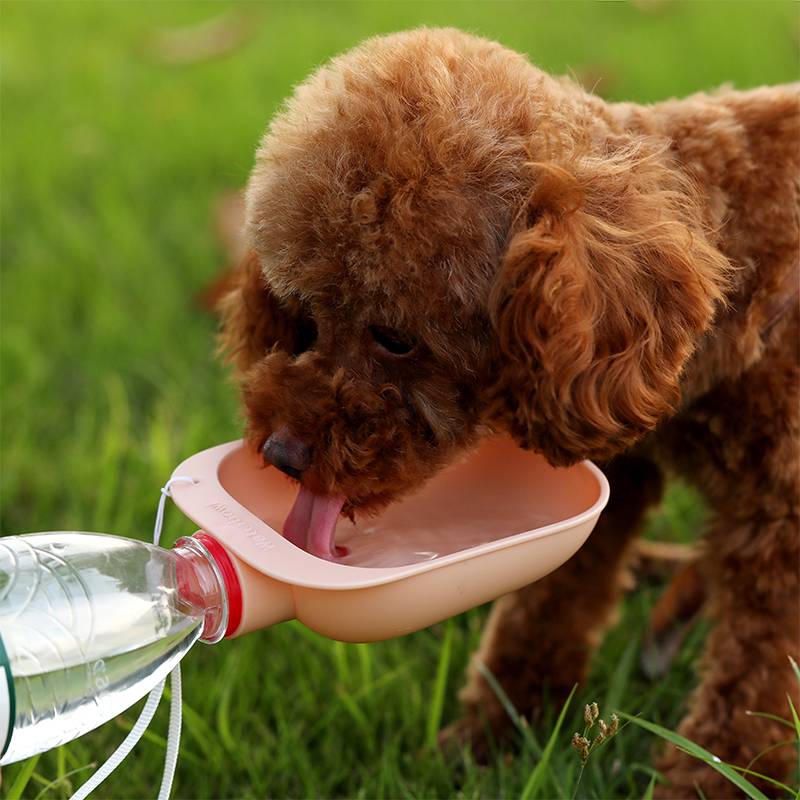 Biberón Portátil para Perros y Mascotas - Agua para Viajes con Filtro de Bebida para Canes y Gatos — imagen 2
