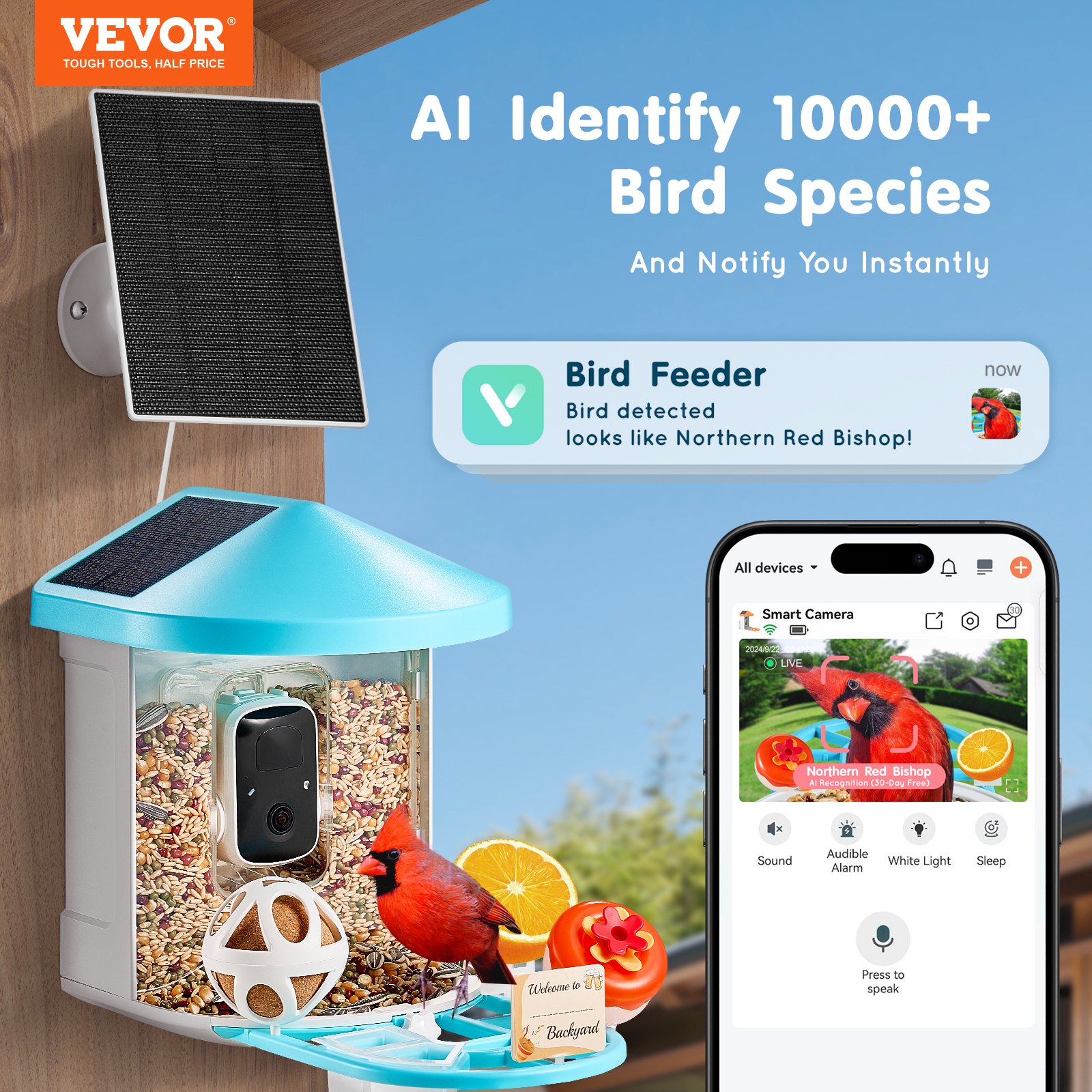 Comedor Inteligente de Pájaros con Cámara AI Identifica +10.000 Especies - Energía Solar — imagen 3