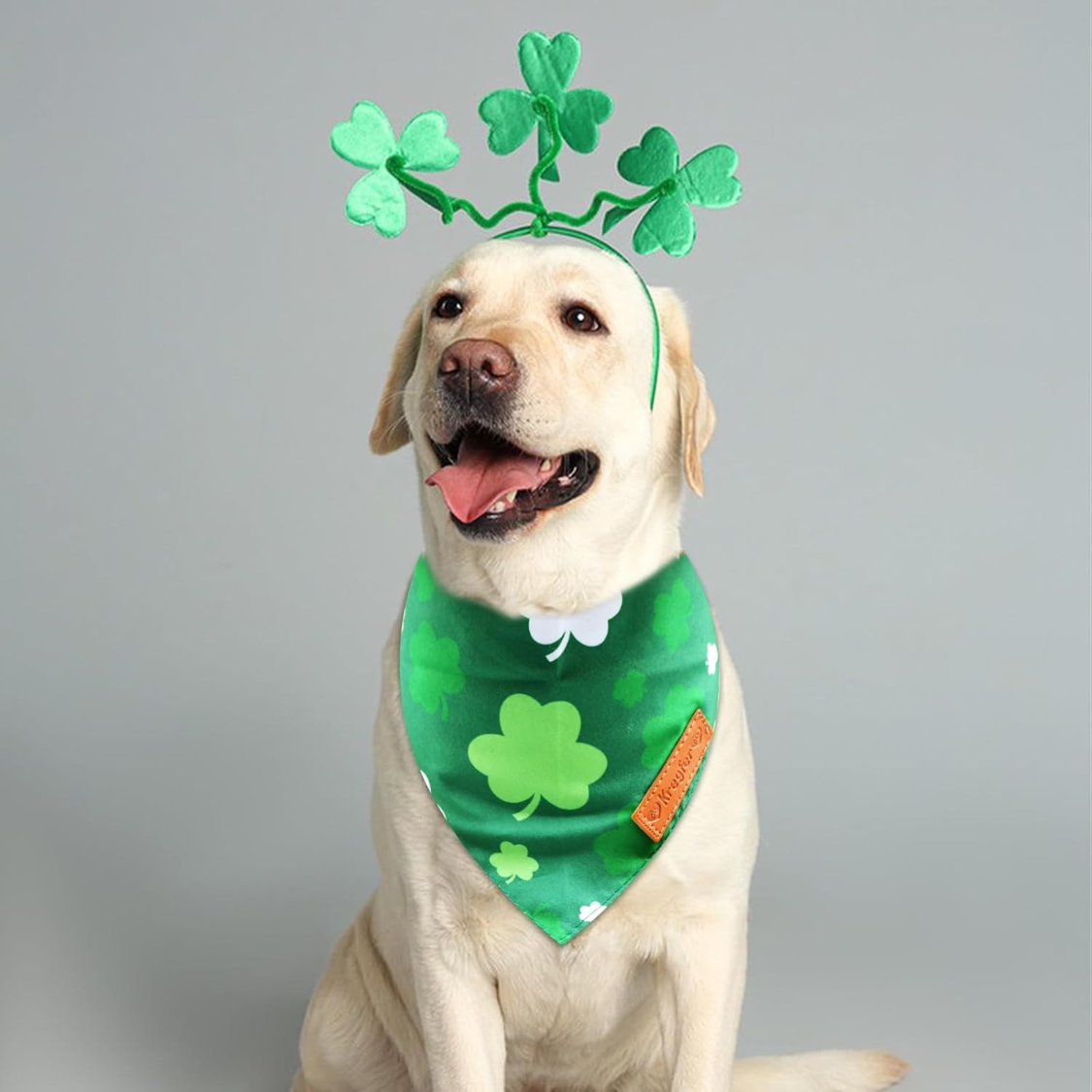 2 Piezas de Pañoletas Para Perro del Día de San Patricio, Bufanda Triangular Reversible de Doble Cara — imagen 6