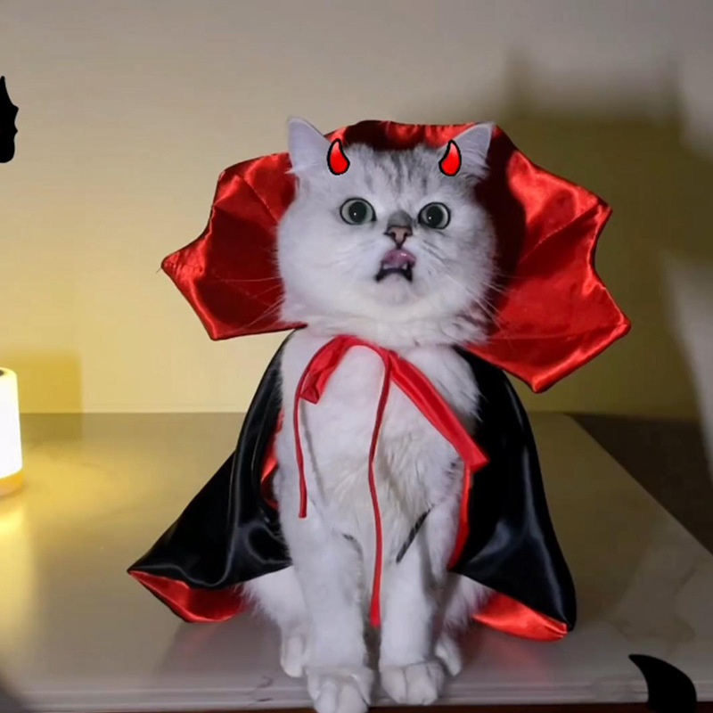 Halloween Vampire Cape for Cats and Dogs, Witch Cloak Pet Costume — image 7