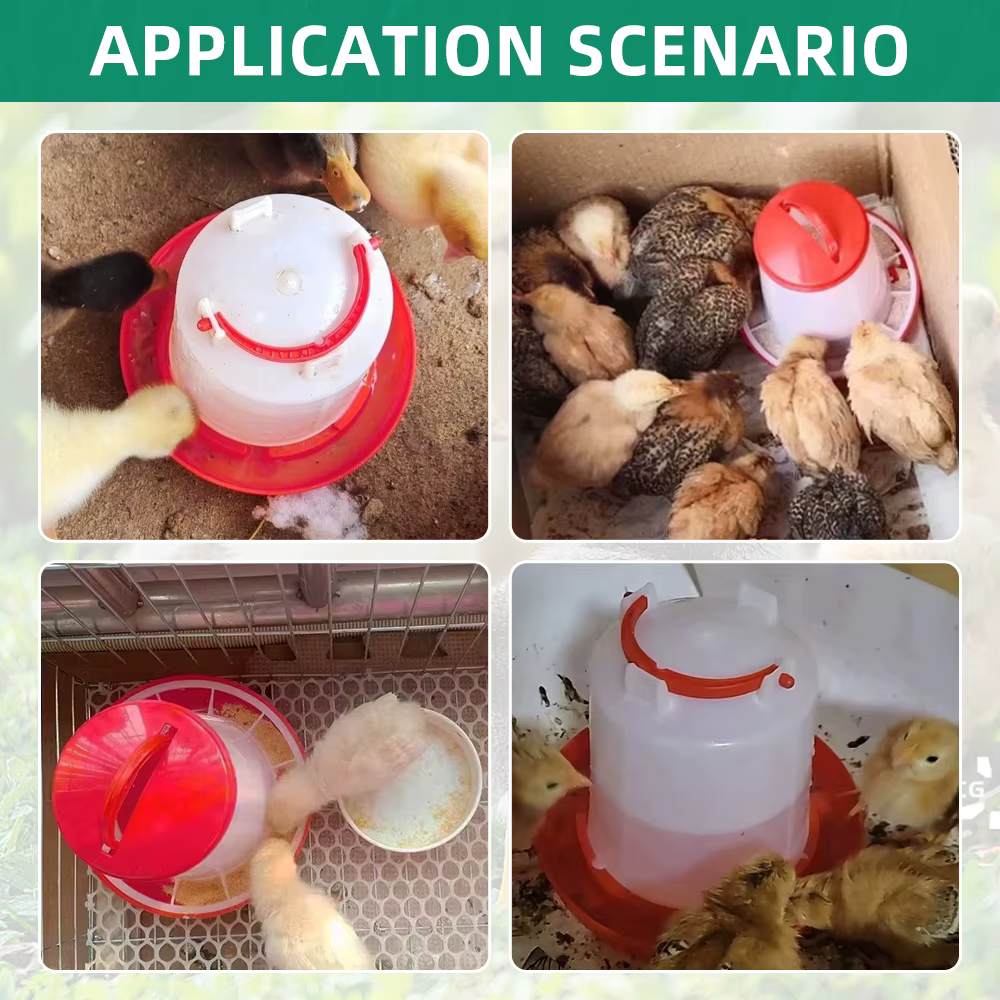 Alimentador y Bebedero de Pollo +3L Dispensador Automático de Agua y Alimento, Cubeta de Alimento y Agua para Pollos — imagen 5