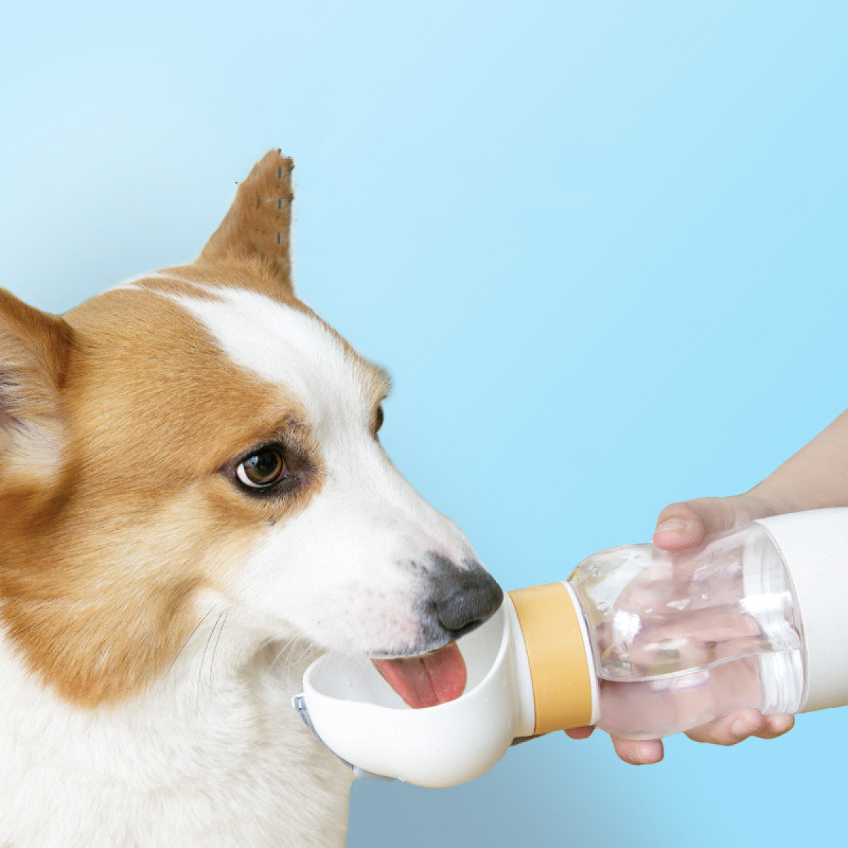 Dogs Go Out Water Cups Dog Kettles Portable Accompanying Cups Walking Dog Water Bottles Pet Water Dispenser Supplies — image 1