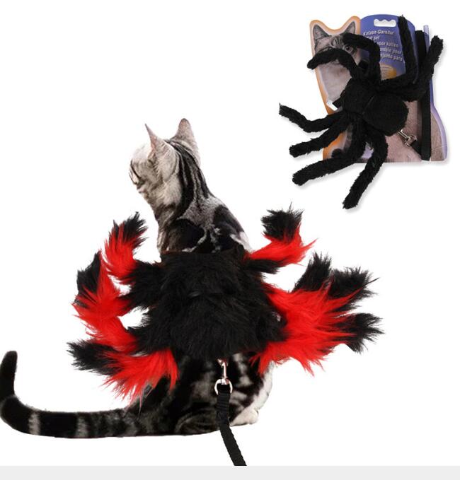 Cat Halloween Spider Harness Leash — image 1
