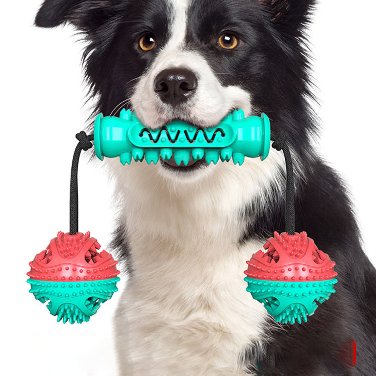 Dog Toy Molar Stick Bite Resistant Toothbrush Dog Toy With Rope 3 Pet Products — image 1