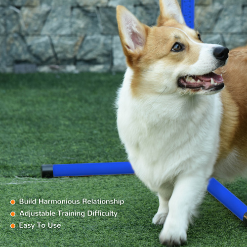 Equipo de Entrenamiento de Agilidad para Perros de 4 Piezas con Postes de Salto de Altura Ajustable — imagen 6