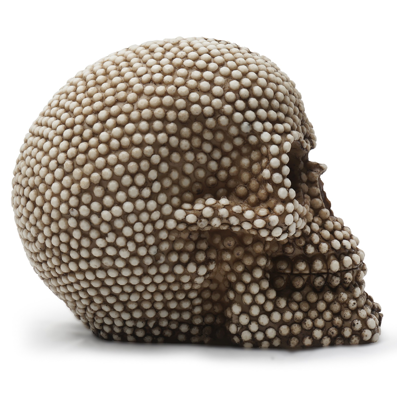 Cabeza de Calavera Cabeza de Calavera Adorno de Cráneo Animal — imagen 3