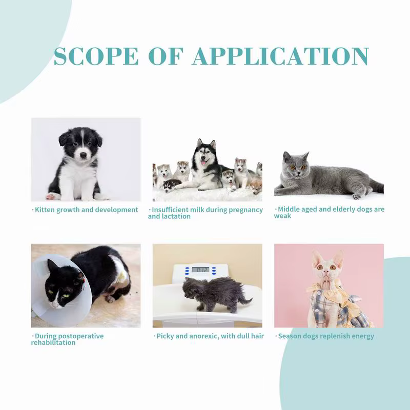 Leche para Mascotas 6 piezas Leche sin Lactosa para Gatos y Perros Suplemento Calcio Fuertes Huesos 3,6 g Proteína de Leche por 100 ml Fácil de Digirir Absorber — imagen 2