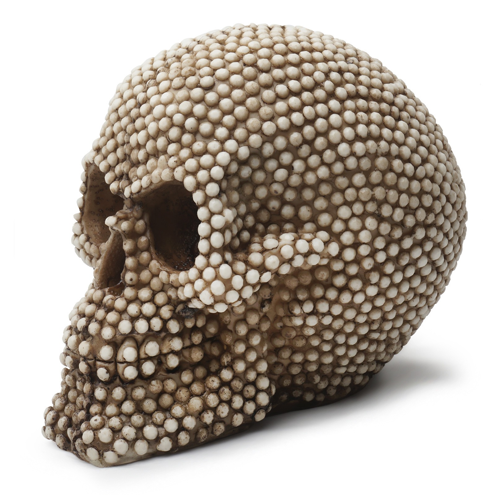 Cabeza de Calavera Cabeza de Calavera Adorno de Cráneo Animal — imagen 1