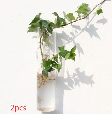 Vaso de Vidrio para Terrario Decorativo en Línea - Jardín Acuático para Hogar — imagen 10