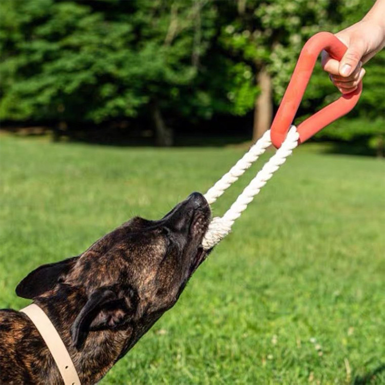 Juguetes de Tira para Mascotas - Juguetes Interactivos y Divertidos para Perros con TPR — imagen 1