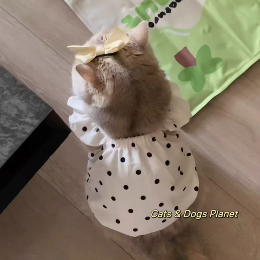 Camiseta clásica con puntos de polka para mascotas, vestido anti-caspa para mascotas, oso de peluche, ropa para gatos y perros pequeños y medianos — imagen 3