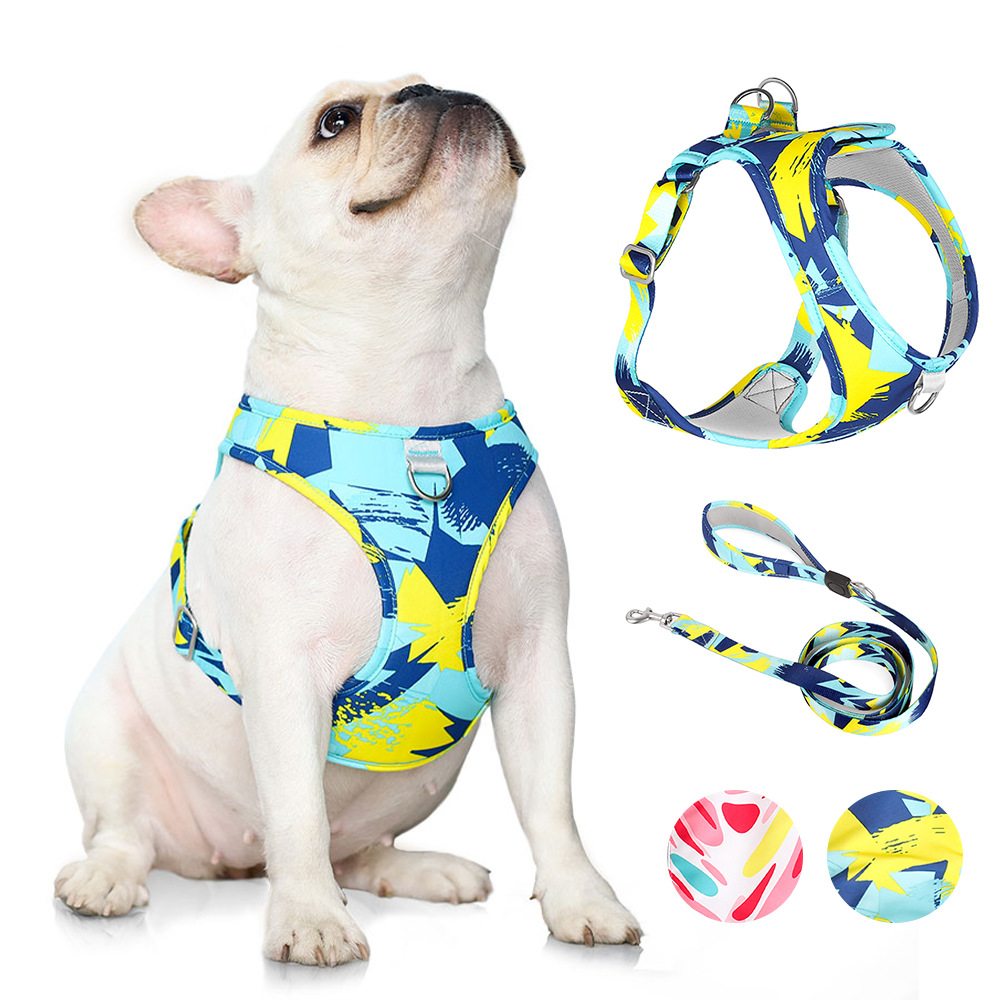 Printed Pet Chest Strap Anti-Breakaway Dog Leash Small And Medium-Sized Dogs Traction Rope — image 1