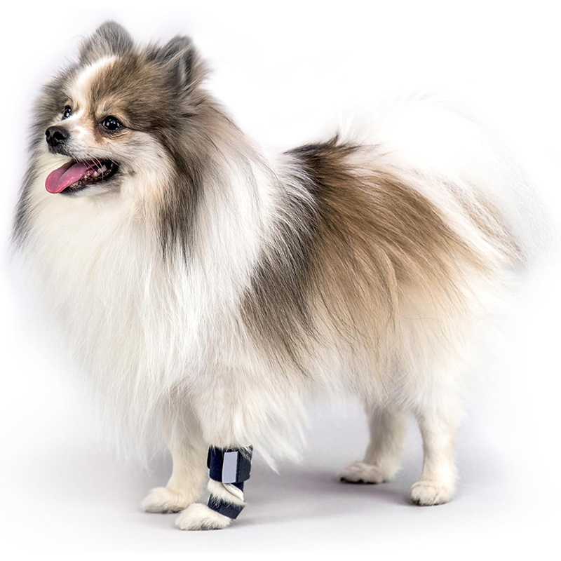 Dog Front Leg Brace – Carpal Hyperextension Splint for Fractures & Sprains — image 1