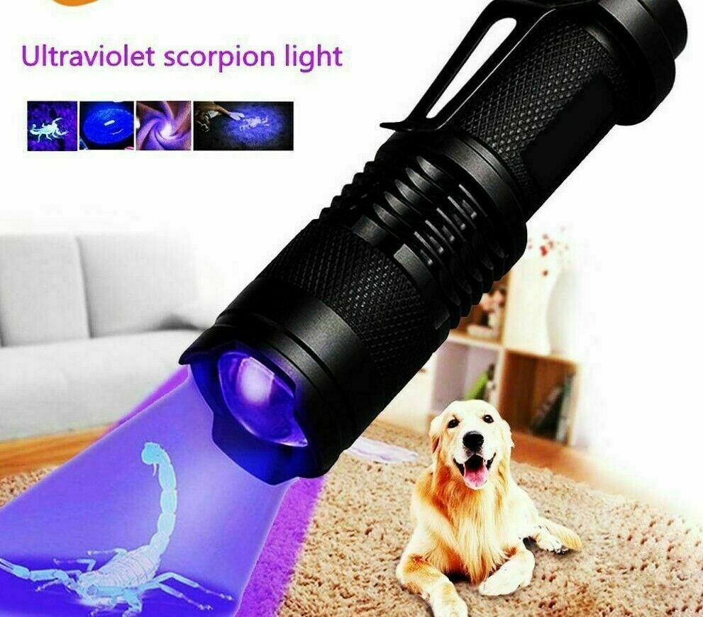 Paquete de 2 Linternas UV LED de Mano, Luz Negra Ultravioleta de 395nm, Mini Lámpara de Inspección Detectora de Manchas de Orina de Mascotas, Chinches y Escorpiones — imagen 13