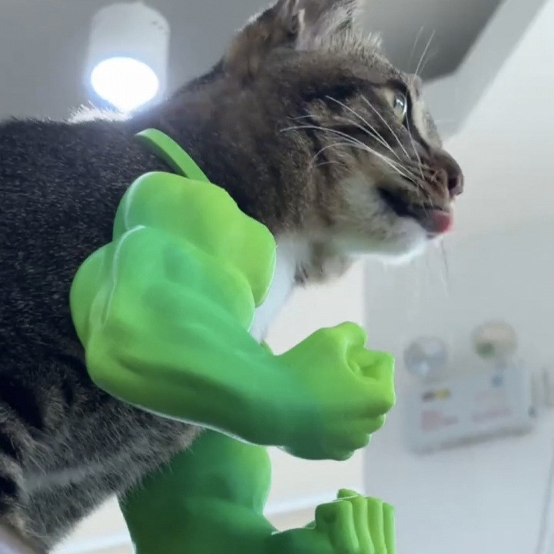 Hulk Cat Arm Pet Dog Toy Photography Prop 3D Printed Cute Funny Creative Cat Costume Backpack — image 4