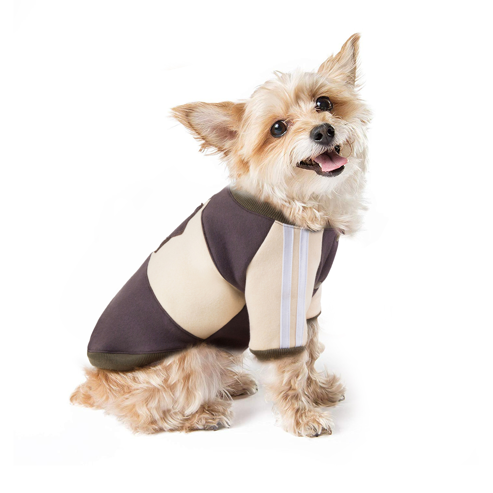Ropa para Perros de Otoño e Invierno - Chaquetas y Sudaderas para Mascotas con Capucha — imagen 1