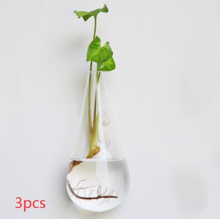 Vaso de Vidrio para Terrario Decorativo en Línea - Jardín Acuático para Hogar — imagen 49
