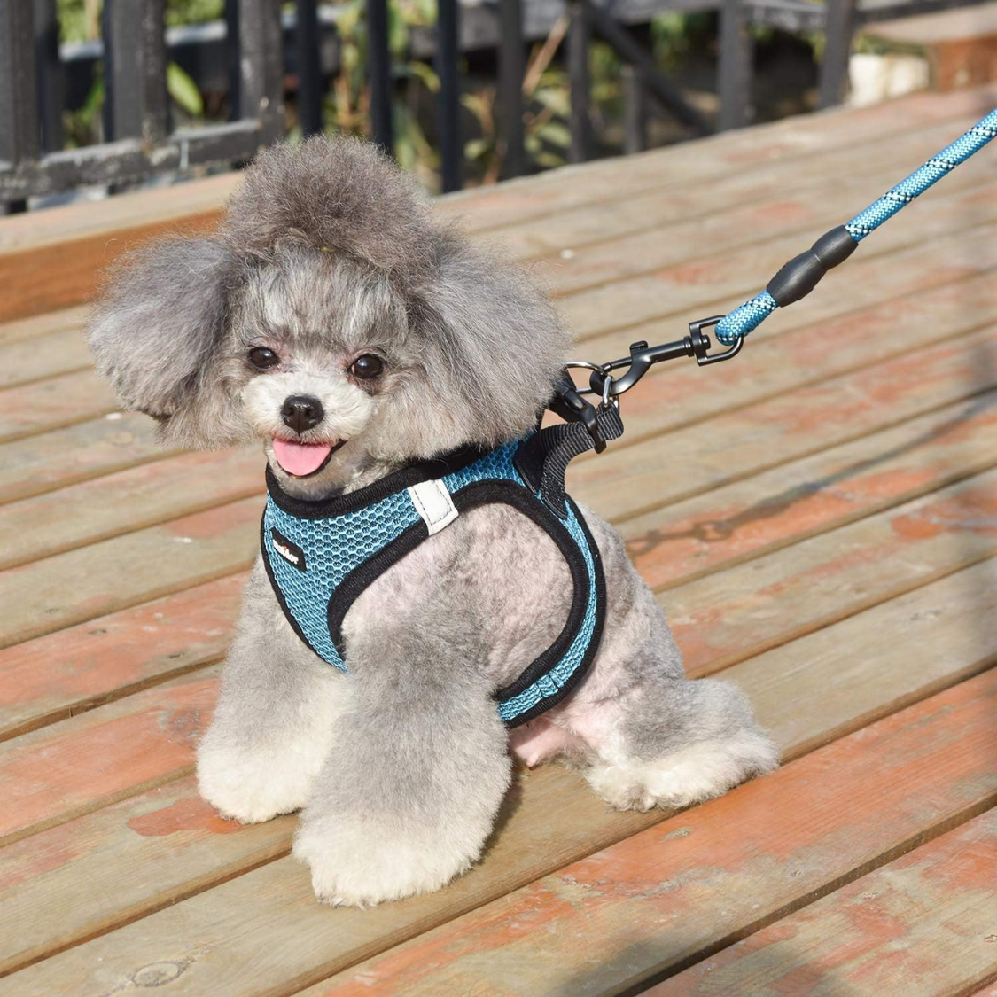 Vestimentas respirables para perros pequeños y medianos con diseño de paso — imagen 5