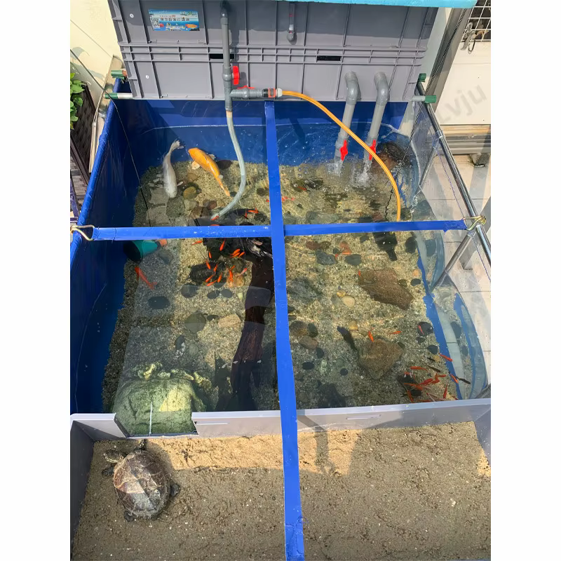 Tanque Completo para Peces Betta Accesorios de Acuario Marino — imagen 3
