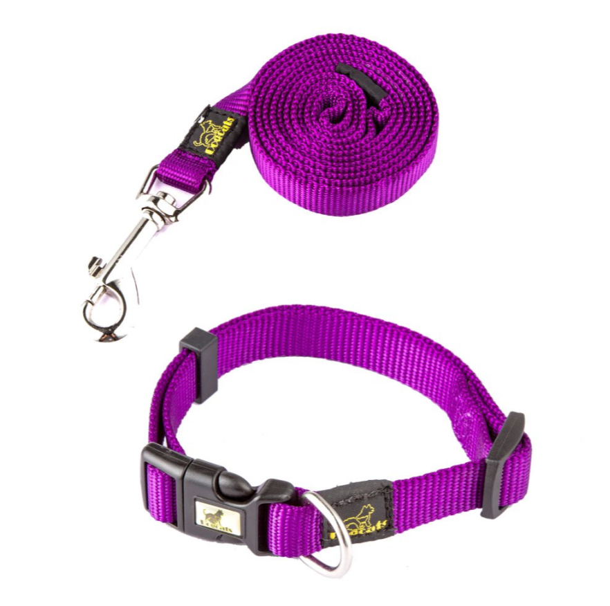 New Dog Nylon Collar (Including Leash) Set European And American Fashion Pet Supplies — image 2