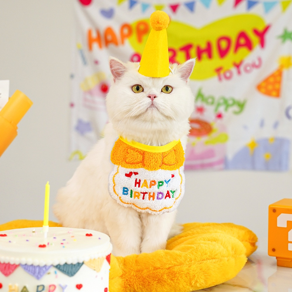 Pet birthday drool scarf cat bib scarf dog cat hat — image 5