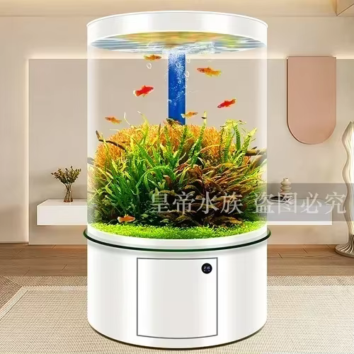 Tanque de Acuario de Vidrio Cilíndrico para Salón o Piso Completo con Filtro en el Fondos — imagen 2