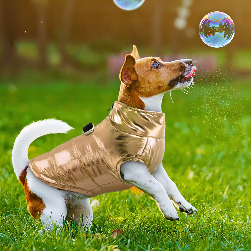 Clothes For Small Dogs Waterproof Dog Clothes Puppy Pet Jacket Winter Warm Vest Dog Coat Clothing For Chihuahua French Bulldog — image 4