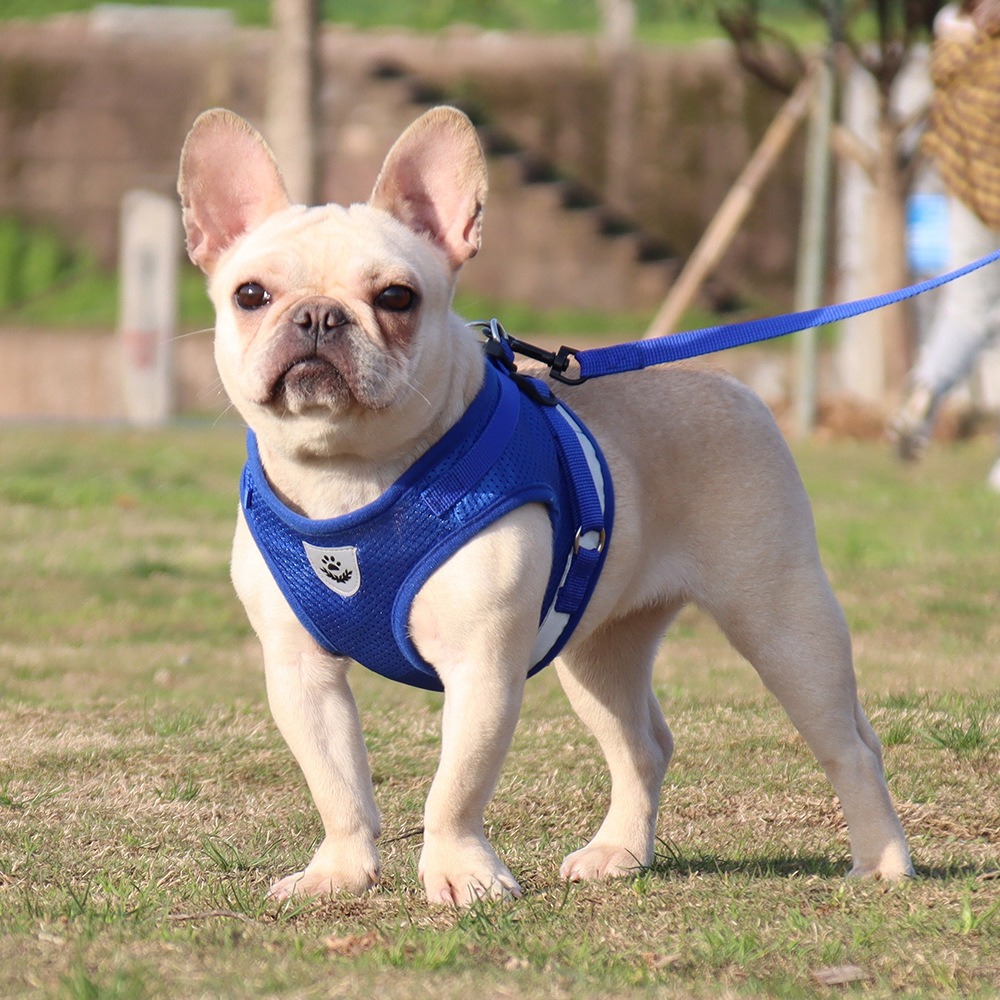 La Nueva Camiseta de Tirante de Pecho para Mascotas: Correa Reflectiva y Transpirable de Cuerda para Perros — imagen 4